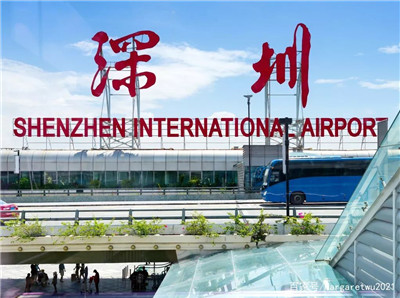 探索白云区的丰富茶叶之美